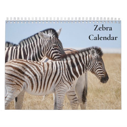 Zebra Calendar 2024