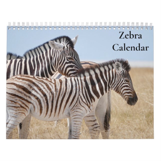 Zebra Calendar 2027 (Cover)