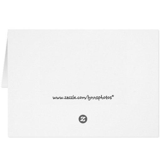 Zebra Card (Back Horizontal)