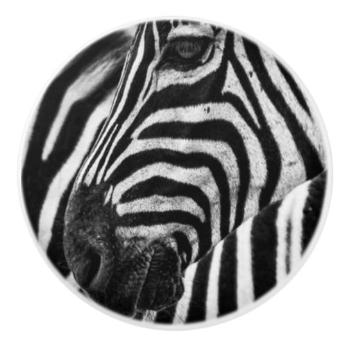 ZEBRA CERAMIC KNOB