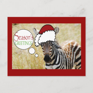 Zebra Christmas Seasons Greetings Holiday Postcard