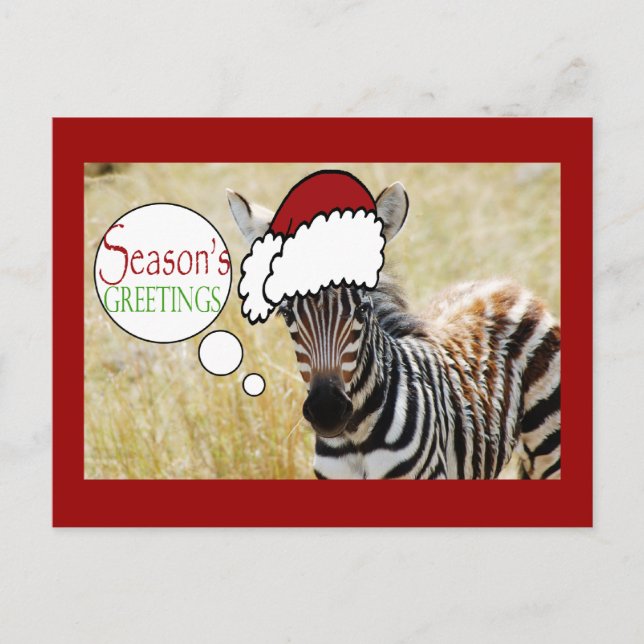 Zebra Christmas Seasons Greetings Holiday Postcard (Front)