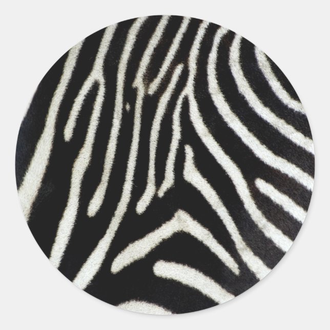 Zebra Classic Round Sticker (Front)