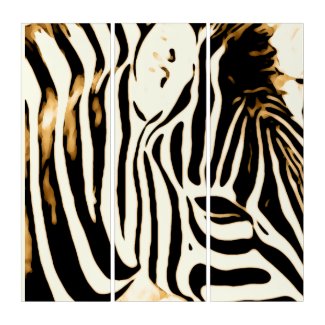 Zebra close up in warm colors triptych