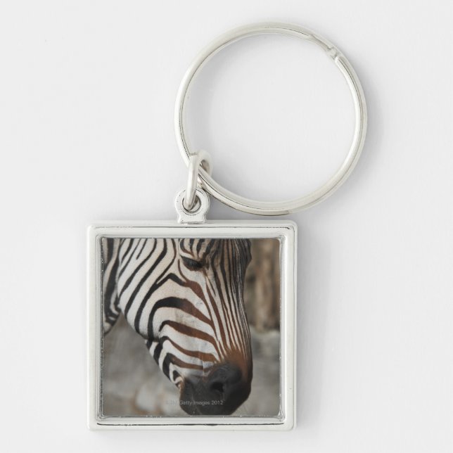 Zebra, close-up keychain (Front)