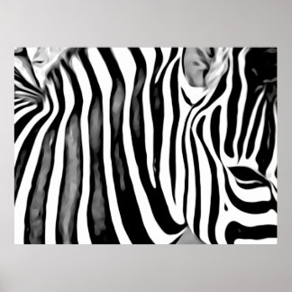 Zebra close up poster