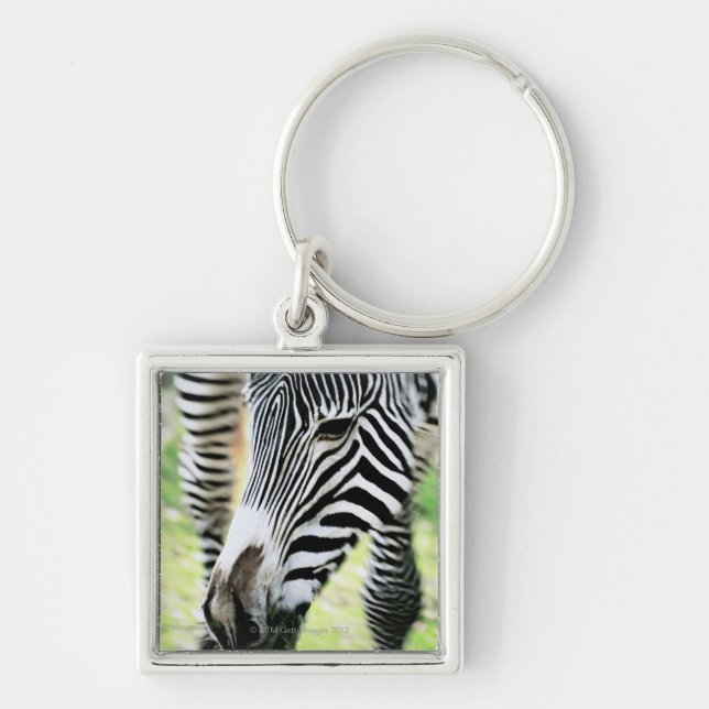 Zebra, close-up, selective focus keychain (Front)