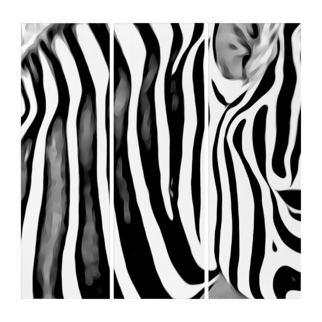 Zebra close up    triptych (Front)
