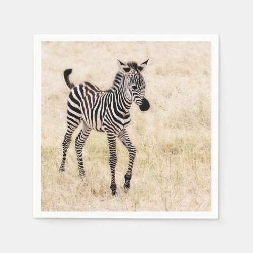 Zebra Colt Napkins