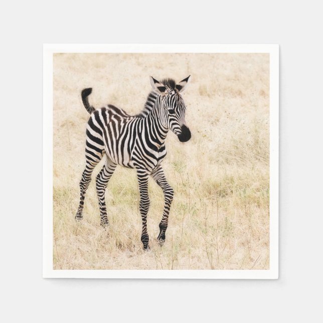 Zebra Colt Napkins (Front)