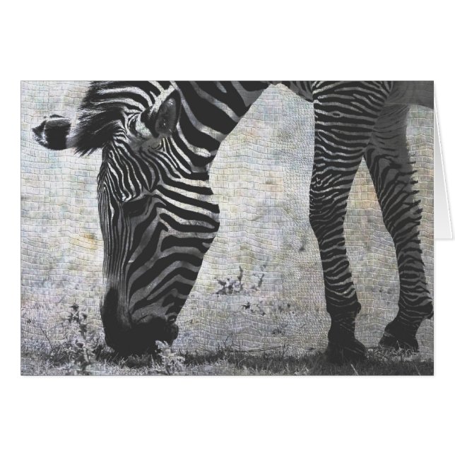 Zebra Crackle Cards (Front Horizontal)