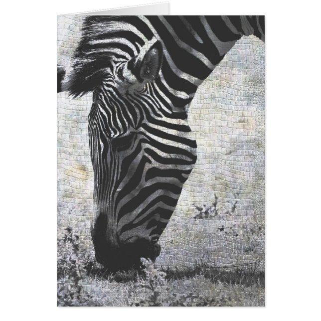 Zebra Crackle Cards (Front)