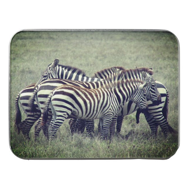 zebra dazzle jigsaw puzzle (Case Horizontal)