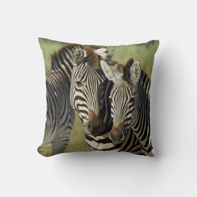ZEBRA DOUBLE IMAGE THROW PILLOW (Front)