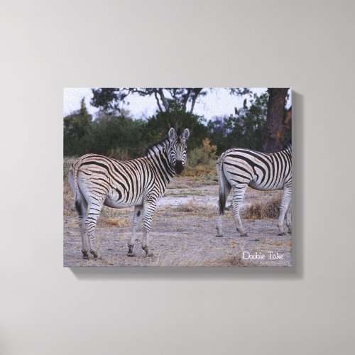 Zebra Double Take Photo Canvas Print