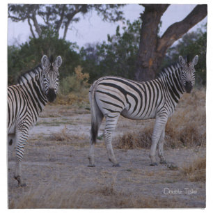 Zebra Double Take Photo Cloth Napkin
