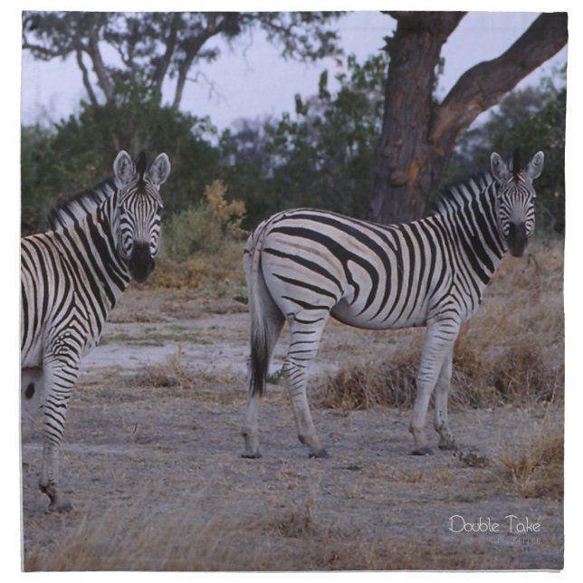 Zebra Double Take Photo Cloth Napkin (Front)
