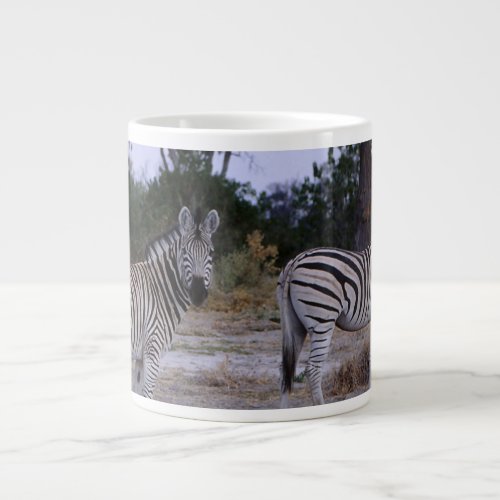 Zebra Double Take Photo Giant Coffee Mug