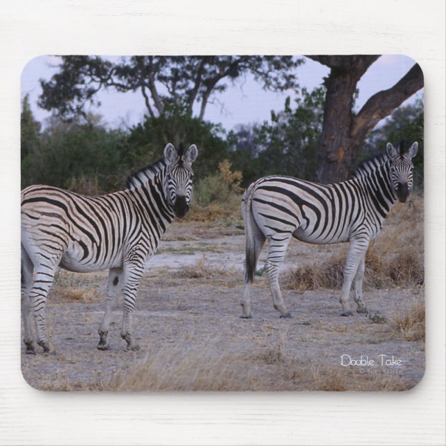 Zebra Double Take Photo Mouse Pad (Front)