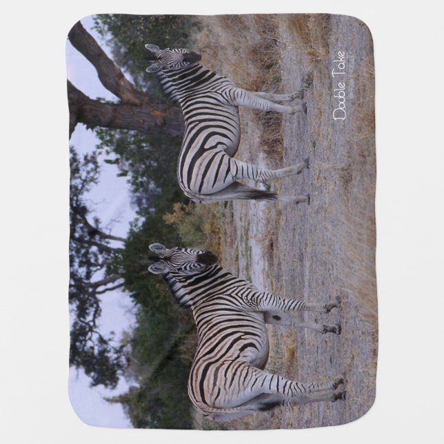 Zebra Double Take Photo Receiving Blanket (Front)
