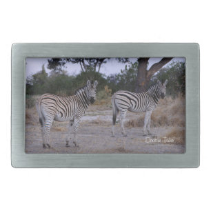 Zebra Double Take Photo Rectangular Belt Buckle