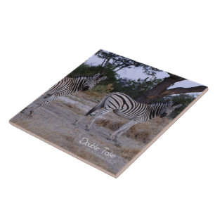 Zebra Double Take Photo Tile