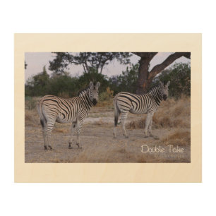 Zebra Double Take Photo Wood Wall Art