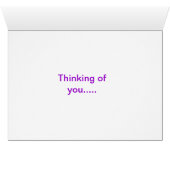 Zebra Dreams (Inside Horizontal (Bottom))