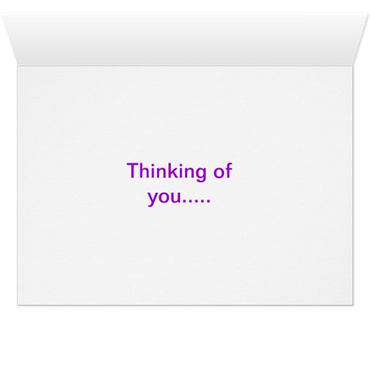 Zebra Dreams (Inside Horizontal (Bottom))