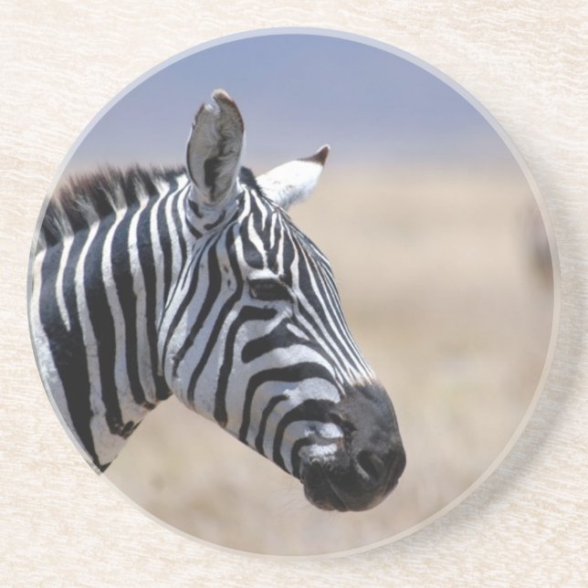Zebra Drink Coaster (Front)