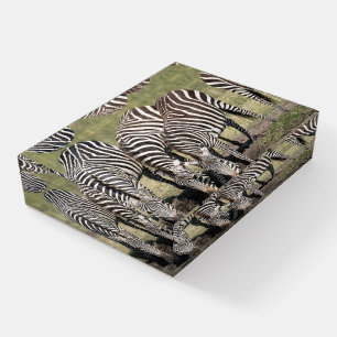 Zebra Drinking Photo Taken In The Wild  Paperweight