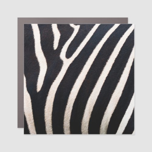 Zebra Essence Authentic Skin Pattern Car Magnet