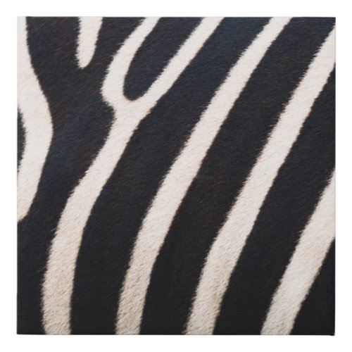 Zebra Essence Authentic Skin Pattern Faux Canvas Print