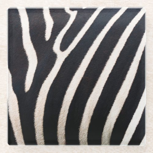 Zebra Essence Authentic Skin Pattern Glass Coaster