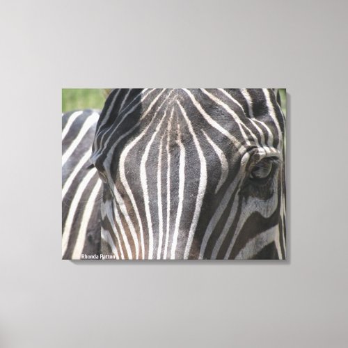 zebra face photo Rhonda Patton Canvas Print