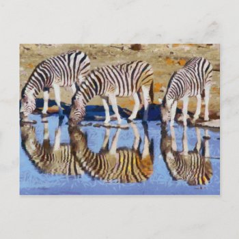 Zebra Face Postcard by ARTBRASIL at Zazzle