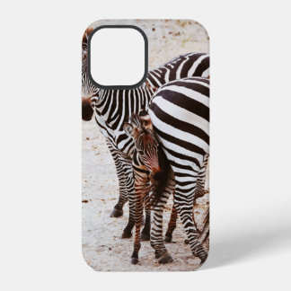 ZEBRA FAMILY iPhone 12 CASE