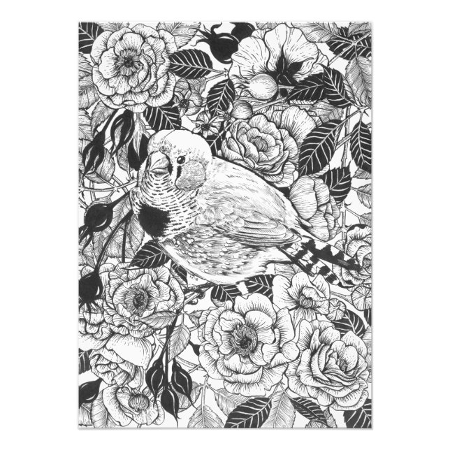 Zebra finch and rose bush ink drawing photo print (Front)