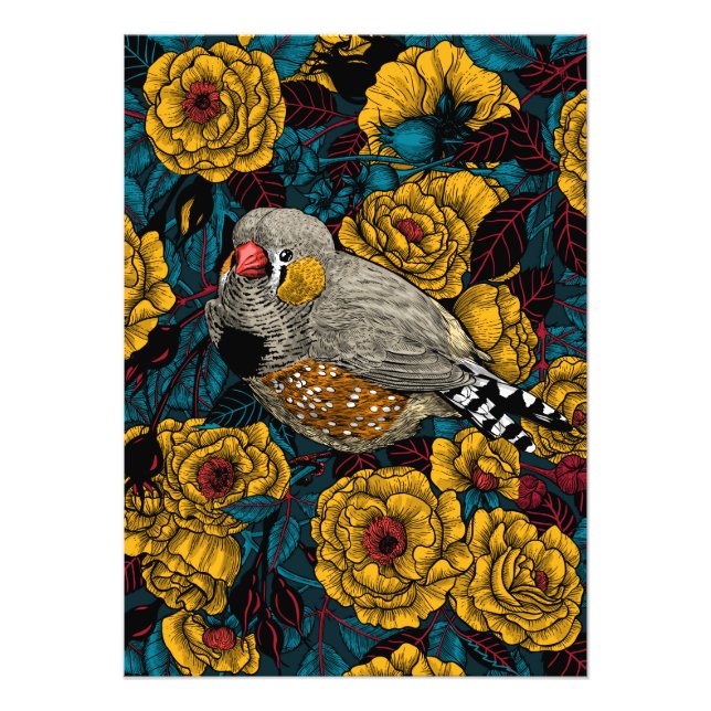 Zebra finch and rose bush photo print (Front)