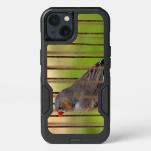 Zebra Finch Bird in Cage iPhone 13 Case