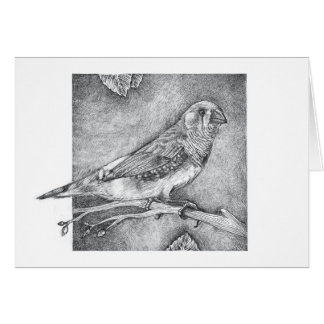 Zebra Finch Cards