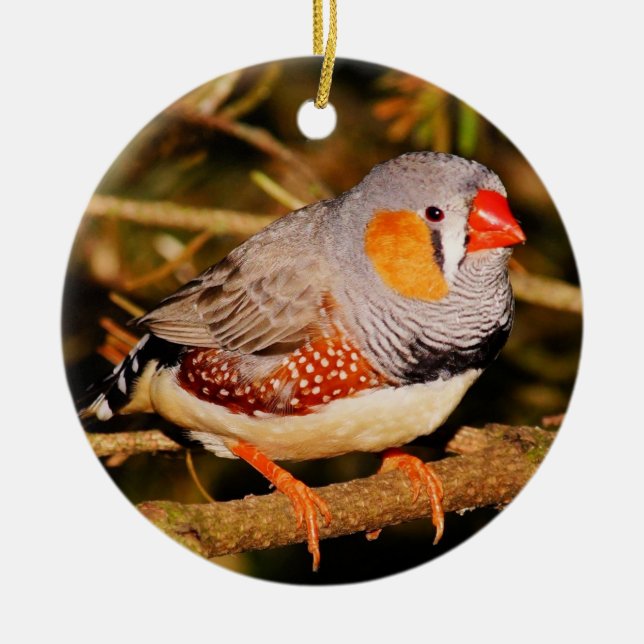 Zebra Finch Ceramic Ornament (Front)