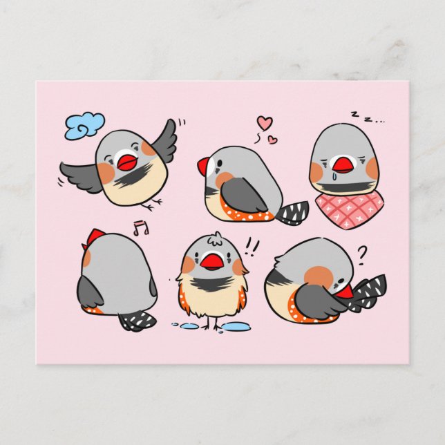 Zebra finch cute cartoon pink checkered pattern postcard (Front)