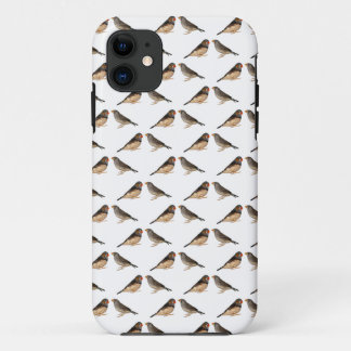 Zebra Finch Frenzy iPhone 5 Case (Choose Colour)
