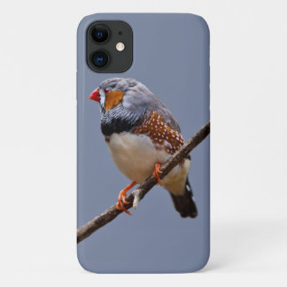 Zebra Finch iPhone 11 Case