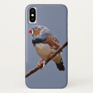 Zebra Finch iPhone X Case