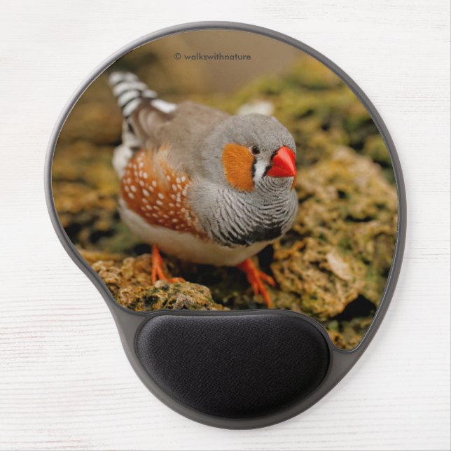 Zebra Finch on the Rocks Gel Mouse Pad (Front)