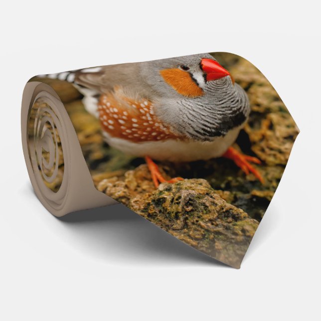 Zebra Finch on the Rocks Tie (Rolled)