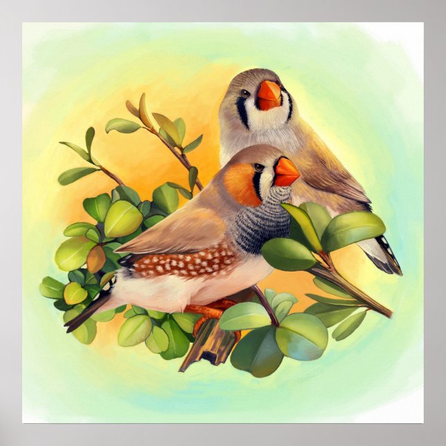 Zebra finch realistic painting poster (Front)