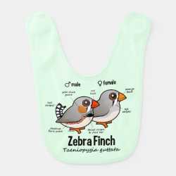 Zebra Finch Statistics Baby Bib